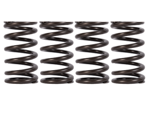 01-16 6.6L Duramax Valve Springs
