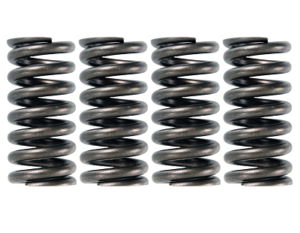 04-10 6.0L/6.4L Ford Powerstroke Valve Springs